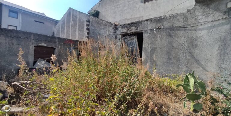 20250306205319-934429-1