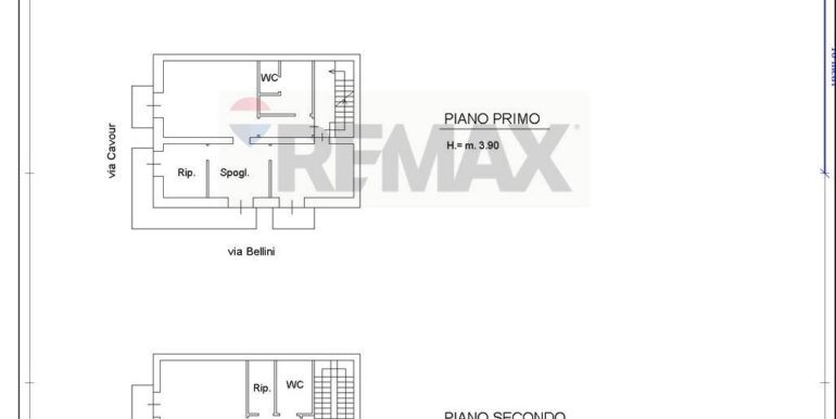 20250307113438-934493-1