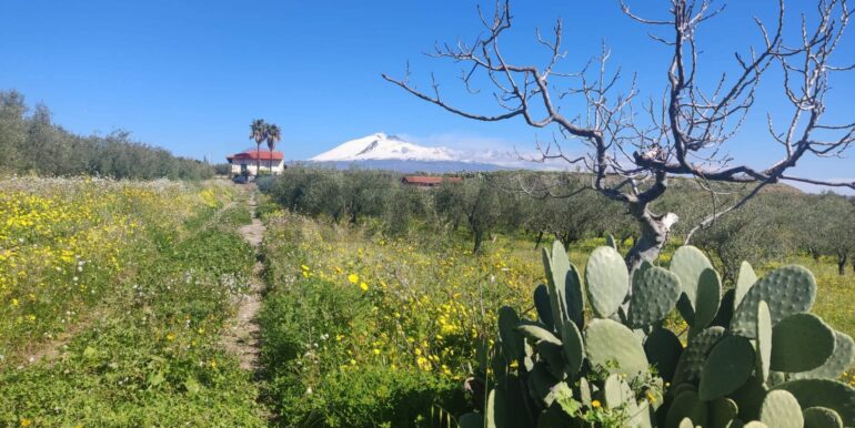 20250307150351-934464-1