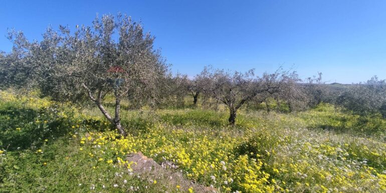 20250307150358-934464-4