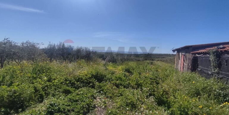 20250307150402-934464-6