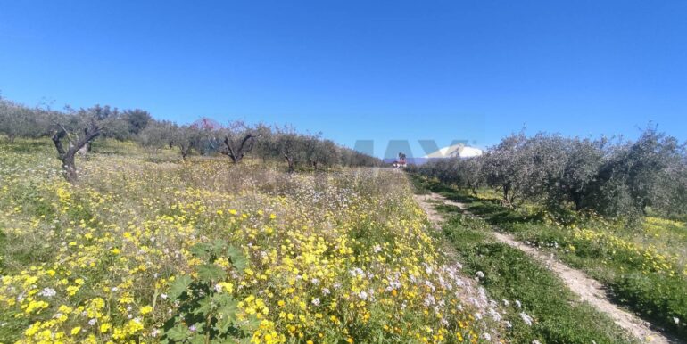 20250307150404-934464-7