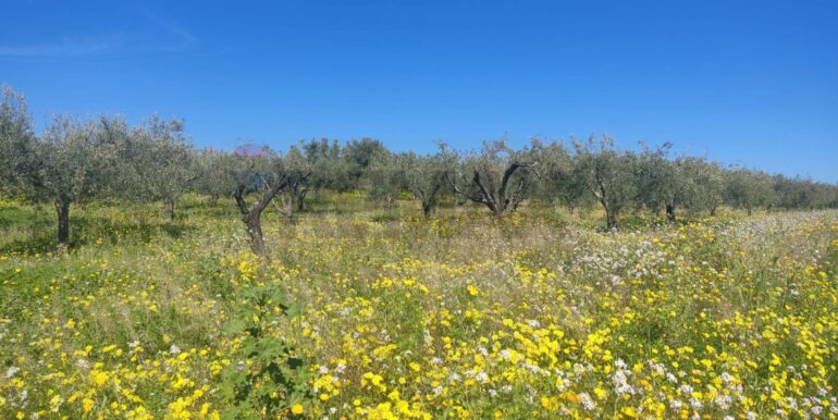 20250307150407-934464-8