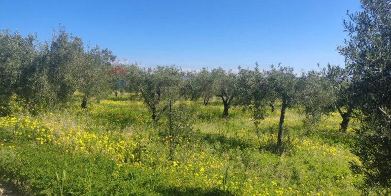 20250307150411-934464-10