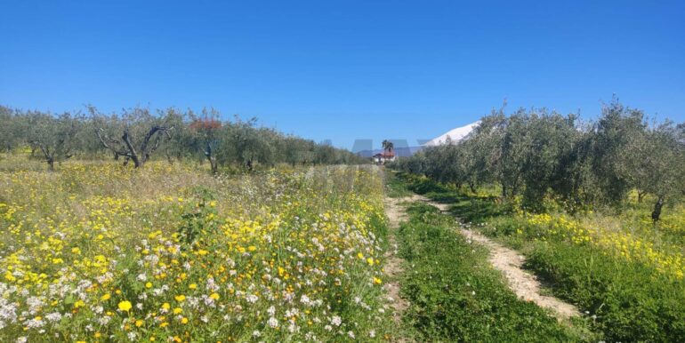 20250307150413-934464-11