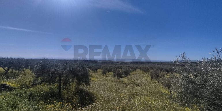 20250307150417-934464-13