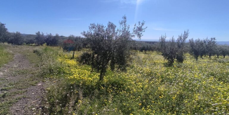 20250307150503-934464-16