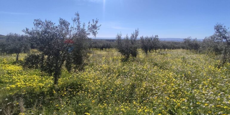 20250307150505-934464-17