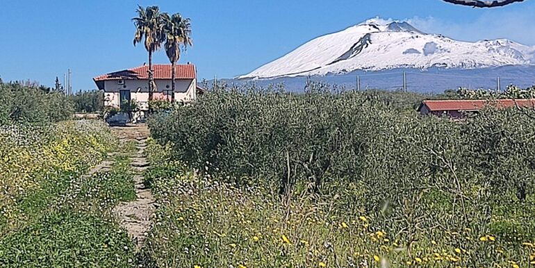 20250307150510-934464-19