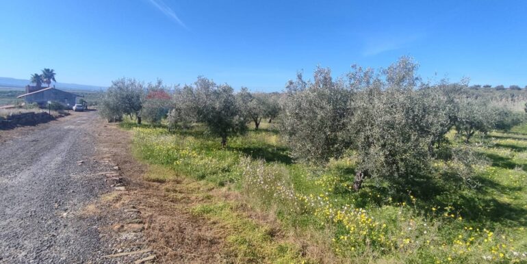 20250307150606-934464-21