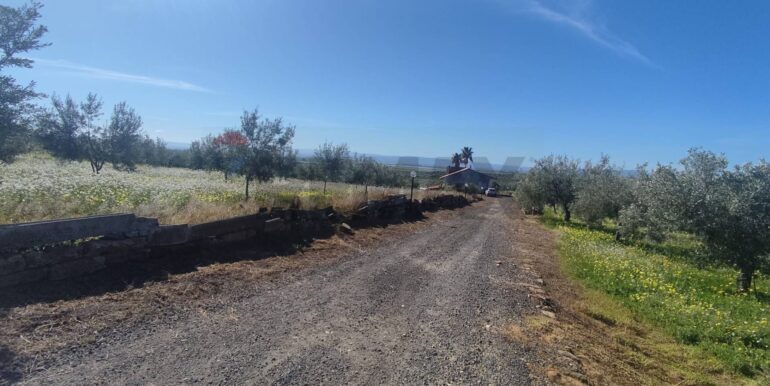 20250307150608-934464-22