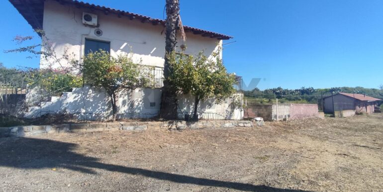 20250307150622-934464-30