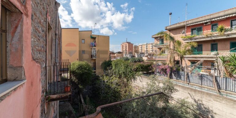 20250307175611-934631-13