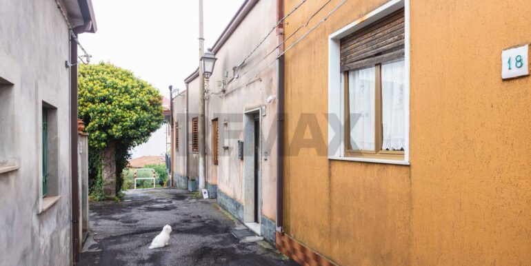 20250307202520-934772-5