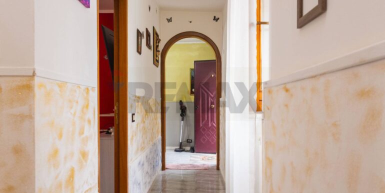 20250307202533-934772-11