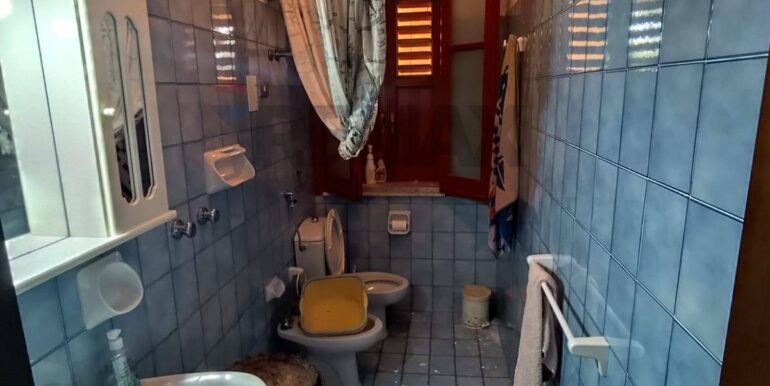 20250308204526-934850-7