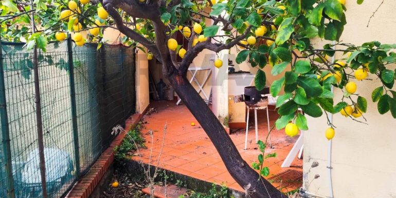 20250308204538-934850-14