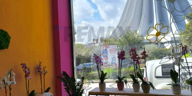 20250309152701-934861-1