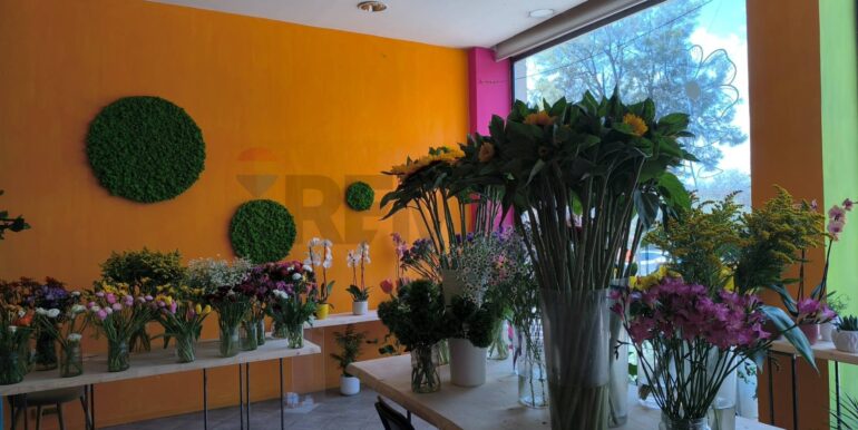 20250309152702-934861-2