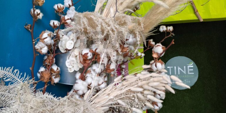 20250309152707-934861-5