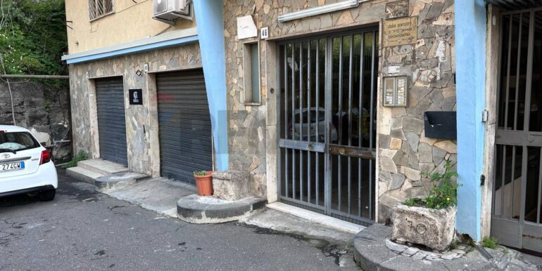 20250310181109-935556-1