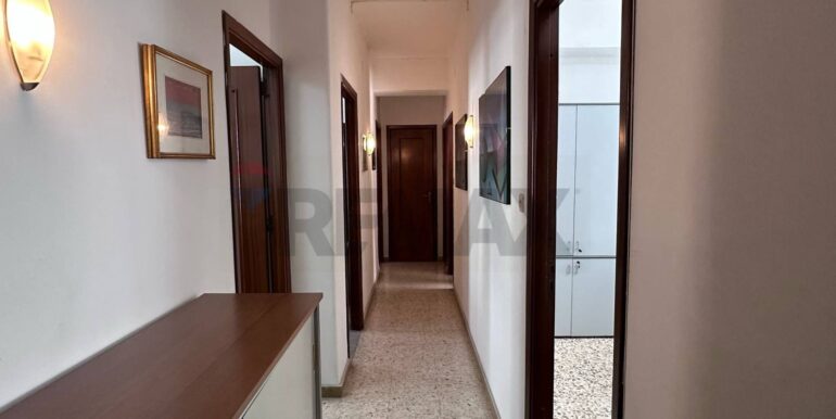 20250310181117-935556-7