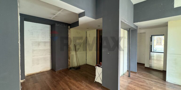 20250311115739-935678-8