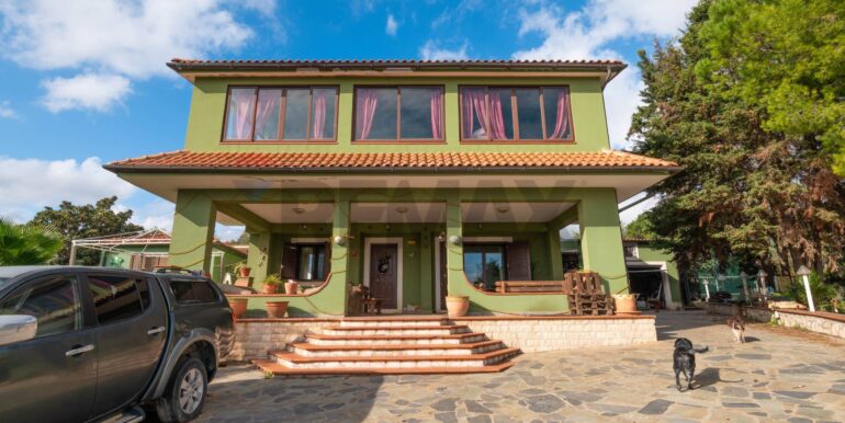 20250312120001-935940-66