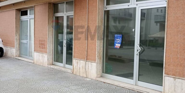 20250313121006-936175-5