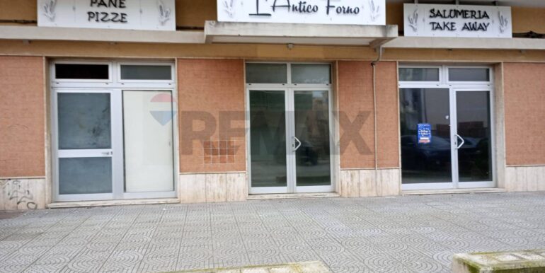 20250313121010-936175-7