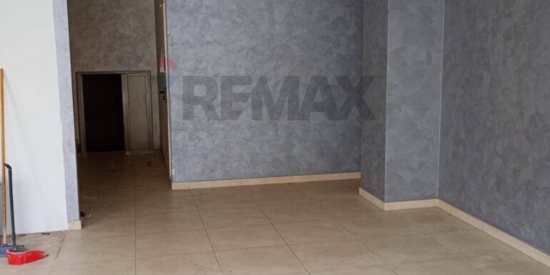 20250313121017-936175-12