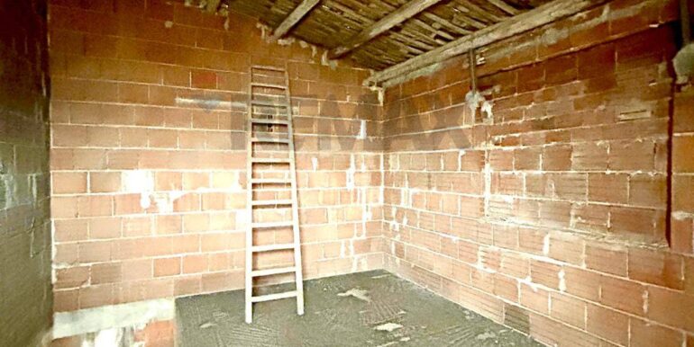 20250313155001-936174-3