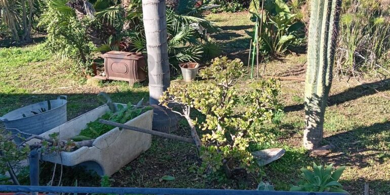 20250313163049-936228-6