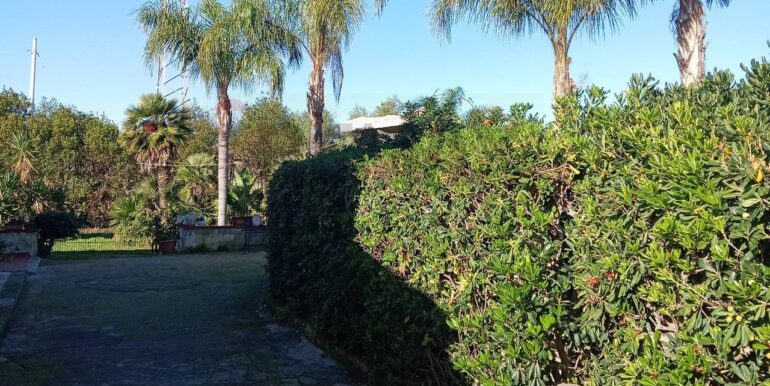 20250313163052-936228-7