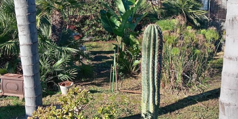 20250313163056-936228-8