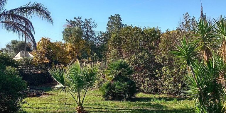 20250313163059-936228-9