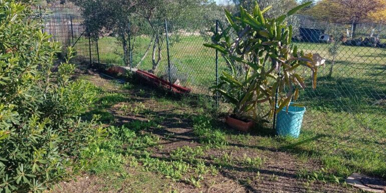 20250313163102-936228-10