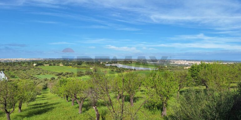 2025031793425-936190-3