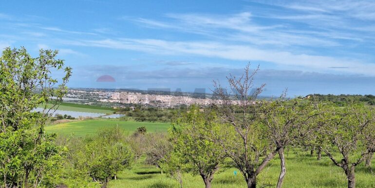 2025031793431-936190-4