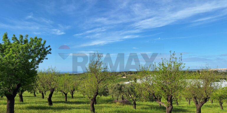 2025031793435-936190-5