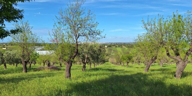 2025031793441-936190-6