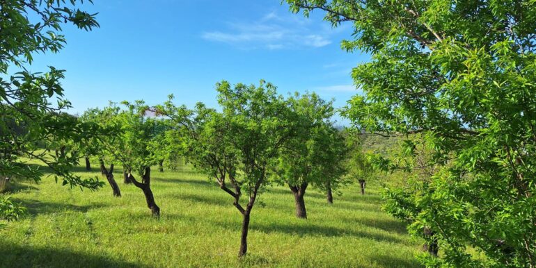 2025031793445-936190-7