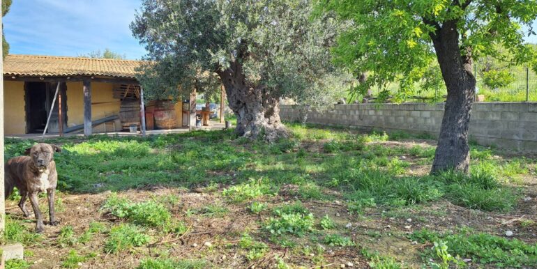 2025031793451-936190-8