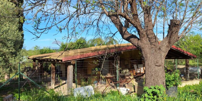 2025031793455-936190-9