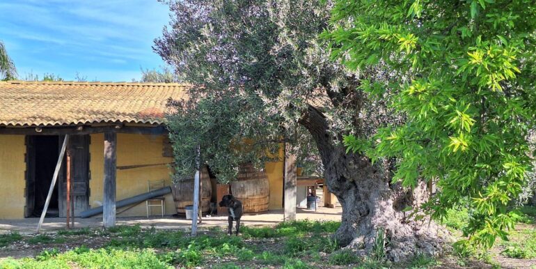 2025031793509-936190-11