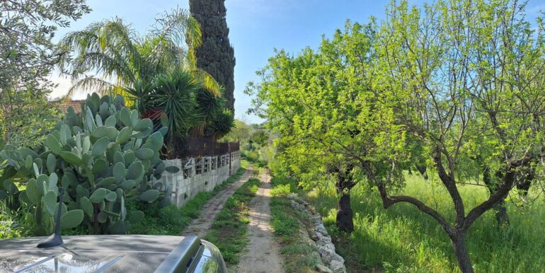 2025031793520-936190-13