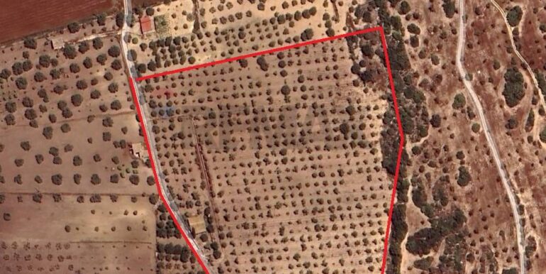 2025031793524-936190-14