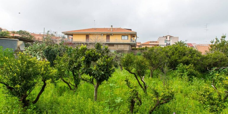 20250318222550-937508-1