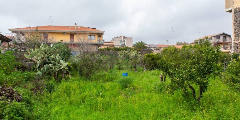 20250318222608-937508-9