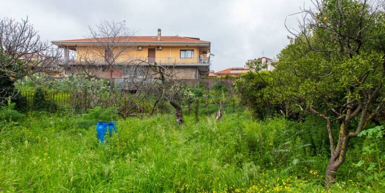 20250318222613-937508-11